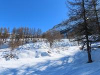 Vignette avalanche