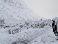 Avalanche Ecrins, secteur Olan - Combe Froide, Combe Froide - Photo 2 - &copy; CD 05