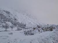 Avalanche Ecrins, secteur Olan - Combe Froide, Combe Froide - Photo 4 - &copy; CD 05