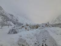 Avalanche Ecrins, secteur Olan - Combe Froide, Combe Froide - Photo 6 - &copy; CD 05