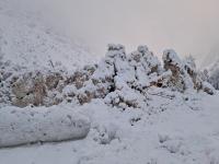 Avalanche Ecrins, secteur Olan - Combe Froide, Combe Froide - Photo 7 - &copy; CD 05