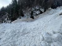 Avalanche Belledonne, secteur Sommet Colomb - Ruisseau du Freney, Ruisseau du Freney - Photo 8 - &copy; Coubat Gr&eacute;gory
