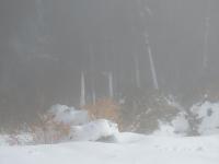 Avalanche Taillefer, secteur Col d'Ornon - La Pisse d'Ornon, La Pisse - Photo 4 - &copy; C. P&eacute;rillat - G. Coubat