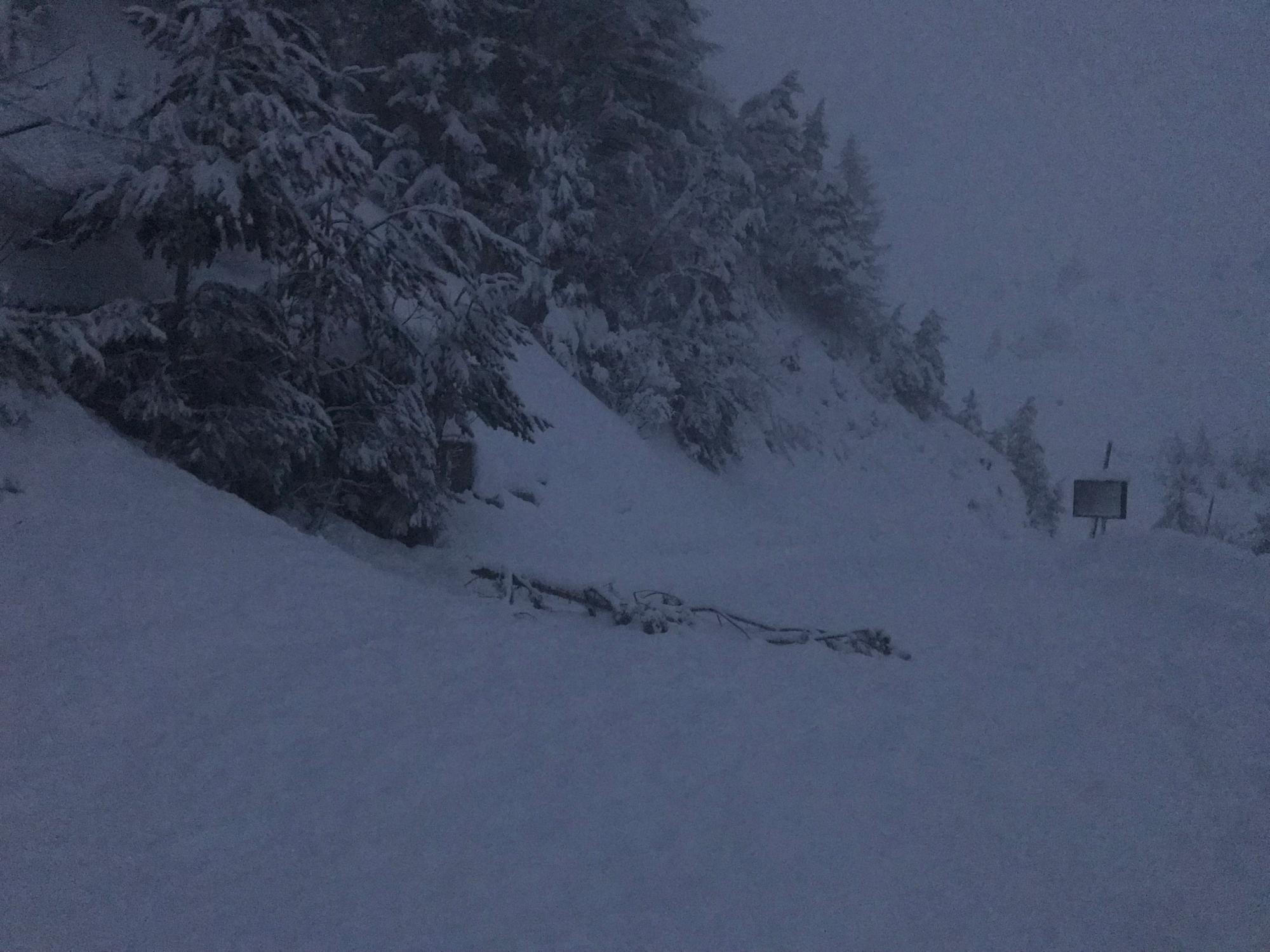 Avalanche ARVAN - villard - Photo 1