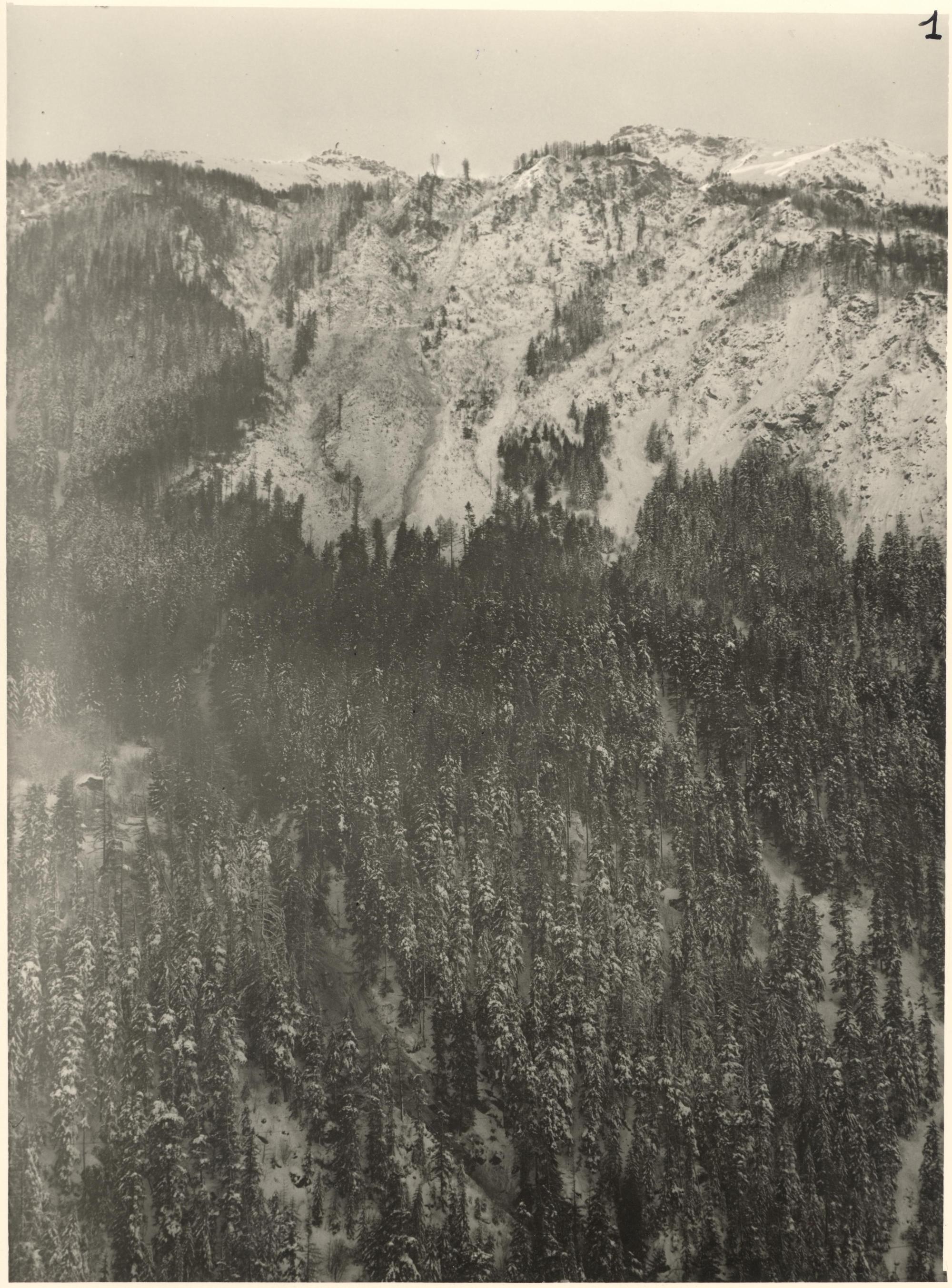 Avalanche Maurienne, secteur Modane - La Freney - Savoutier, Roche Fleurie - Photo 1