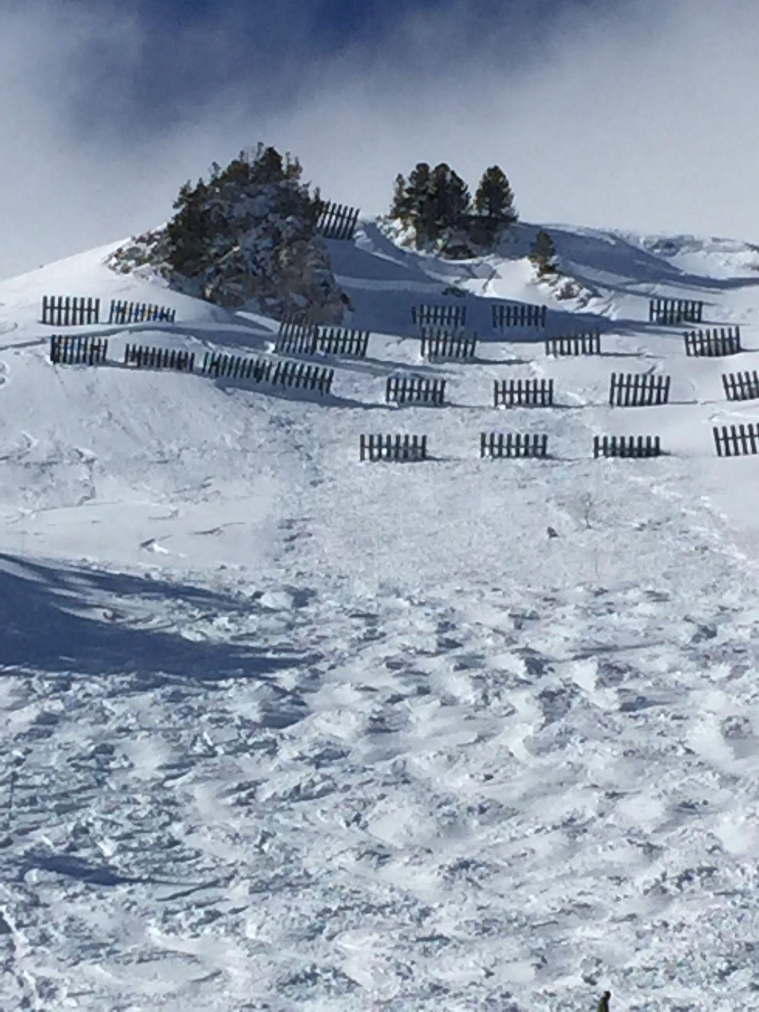 Avalanche Tarentaise, secteur Les Arcs Bois de l'Ours, Bois de l'Ours