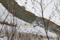 Avalanche Beaufortain, secteur Lac de Roselend - Roc du Biolley, Roc du Biolley - Photo 3 - © Duclos Alain