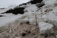Vignette avalanche