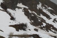 Avalanche Beaufortain, secteur Cormet de Roselend - Roc du Biolley - Photo 3 - © Alain Duclos