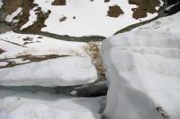 Avalanche Beaufortain, secteur Cormet de Roselend - Roc du Biolley - Photo 6 - © Alain Duclos