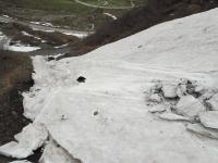 Avalanche Lauzière, secteur Col de la Madeleine - Couloir des Ardoisières - Photo 5 - © Alain Duclos