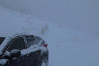 Avalanche Haute Maurienne, secteur Bonneval sur Arc - Rosse Zaille - Photo 3 - © Alain Duclos