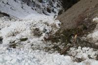 Avalanche Vanoise, secteur Termignon - Pointe Grand Vallon, Pointe du Petit Vallon / Ruisseau des Sallanches - Photo 11 - © Alain Duclos