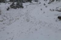 Avalanche Vanoise, secteur Le Bourget - Apollonie - Photo 3 - &copy; Alain Duclos