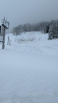 Avalanche Lauzi&egrave;re - Photo 3 - &copy; MTD Tarentaise